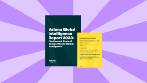 Valona Global Intelligence Report 2023