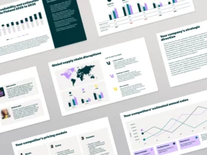 Global supply chain disruptions - market research services - Valona Intelligence